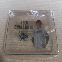 阪神タイガース　近本光司　アクリル受け皿