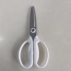 Item thumbnail for item c8ae7e9a-2e78-4857-8a60-baa89bb8cd5e