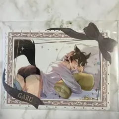 NUカーニバル　ガル　ブロマイド&ケースセット