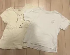 Item thumbnail for item 89309b1f-4498-4872-889e-6a0cd344ac6d