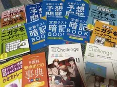 進研ゼミ 中学講座 中2 特別号 スタンダード テキスト15冊セット