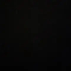 ザリラクス ロングモッズコート 48