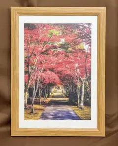 Item thumbnail for item aae22387-7f91-41ac-adb5-cd36cc53326c