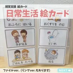 ファイルver. 日常生活 絵カード 視覚支援40枚 療育 特別支援 保育