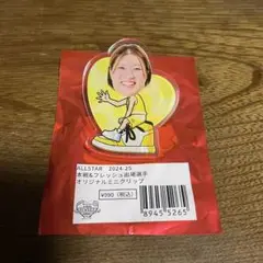 Wリーグ　ミニクリップ