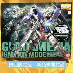 2025年最新】MG 1/100 機動戦士ガンダム00 ガンダムエクシア