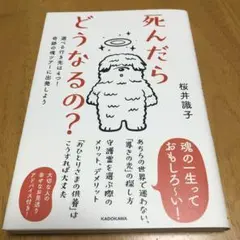 死んだらどうなるの? 選べる行き先は4つ!奇跡の魂ツアーに出発しよう