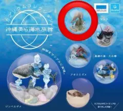 沖縄美ら海水族館 限定 カプリウムコレクション マナティー ガチャ フィギュア