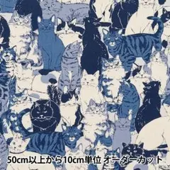 専用