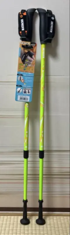 Item thumbnail for item bd950585-053d-4118-8290-4b66778ea850