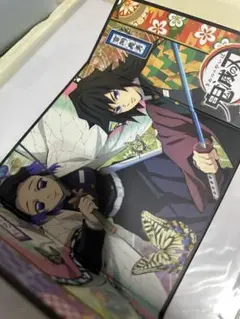 鬼滅の刃　胡蝶しのぶ　冨岡義勇　色紙