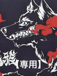 大相撲　狼雅　二子山部屋　相撲　浴衣　反物　和柄　粗布　横長トートバッグ
