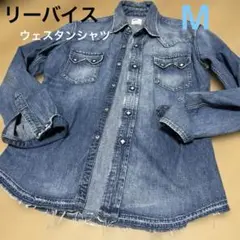 ⭐︎リーバイスデニムウエスタンシャツM