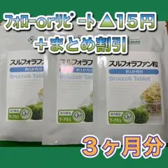 Item thumbnail for item 32875d4c-6b7a-40e8-b964-dfef77133283