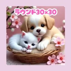 No.1245 ダイヤモンドアートキット ラウンド 犬 猫