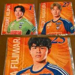 アルビレックス新潟選手ミニハンカチ