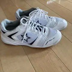 24.5cm MoonStar　体育館シューズ