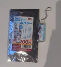#25 田中和基 イーグルスウォーター ミニキーホルダー
