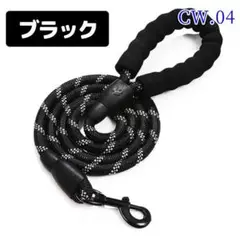 Item thumbnail for item 7f679241-4423-477d-a180-2674a60c6507