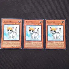 遊戯王　英語　旧アジア版　レスキューキャット　3枚セット