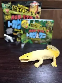 変形爬虫類リアルトカゲ＆ワニ イリエワニ