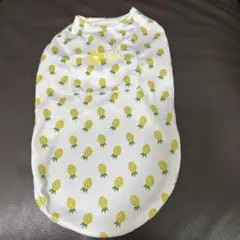 パイナップル柄 イタグレ服