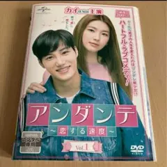 韓国ドラマ　アンダンテ 恋する速度〜 レンタル落ち全巻セット　最終値下げ❣️