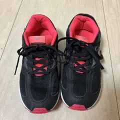 Item thumbnail for item 932a960e-3675-4cf8-8b24-3f0c2f735077