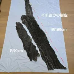 Item thumbnail for item 78348dab-5dd6-4a8a-b950-ca0059df395c