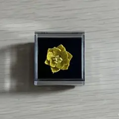 Item thumbnail for item 190ff9c2-2ec9-4687-bd9e-69621274e92d