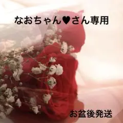 なおちゃん♥さん専用