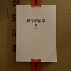 標準解剖学