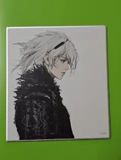 NieR ニーア展 消セナイ記憶 青年ニーア 色紙コレクション 白背景