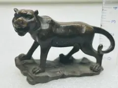 Item thumbnail for item cf31b17d-e321-437a-be3b-421bc5851f74