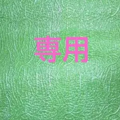 Item thumbnail for item 1665beff-b6de-42c5-a489-c9537c01014c