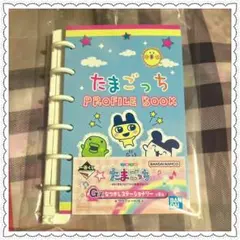 G賞 なつかしステーショナリー プロフィール帳