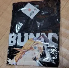 お急ぎ下さい！！ 真・一騎当千 孫策