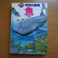 魚