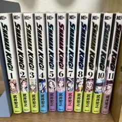シャーマンキング　1〜11巻