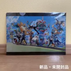 【新品・未開封品】ポケモンGO A4クリアファイル