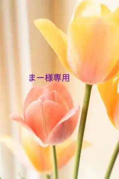 まー様専用