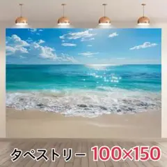 海 砂浜 青空 波 タペストリー 背景布 ＃70