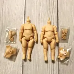 ねんどろいどどーる　ボディ　アーモンドミルク　2体セット