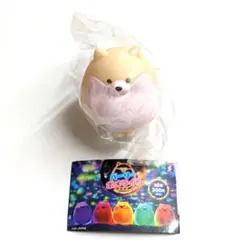 パーリーポメライト　クリーム　ポメラニアンマスコット　ガチャ