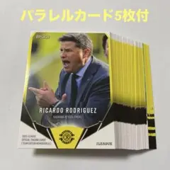 EPOCH 2025 柏レイソルTE レギュラーカード コンプセット 44種
