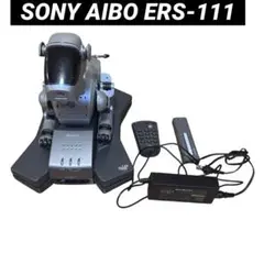 Item thumbnail for item 40b25d4d-0de9-4aae-9806-f80f80e2061e