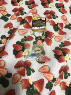 未使用品☆富士山限定☆ご当地呪術廻戦☆七海建人