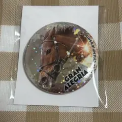 JRA70周年メモリアルヒーロー缶バッジ　グランアレグリア