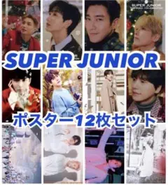 SUPER JUNIOR SJ アルバム 特典 ポスター 12枚セット トレカ