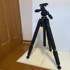 Item thumbnail for item a1a6b298-9986-40a4-8cbf-1fed9a3a310e